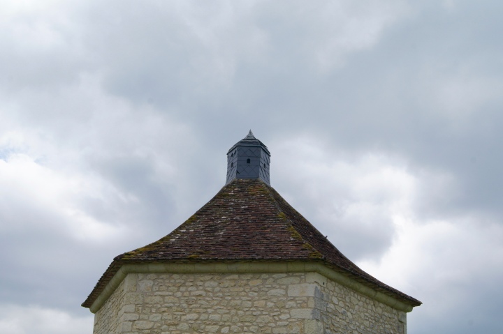 Pigeonnier Château des Vigiers toit